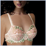 beaute frisson full cup bra