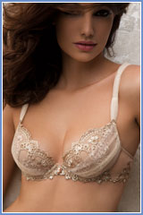 Lise Charmel Princesse De Cleves Graduated Push up With Lace and Tullle