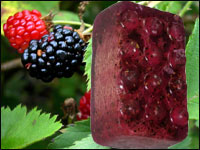 Cleanse Blackberry massage bar