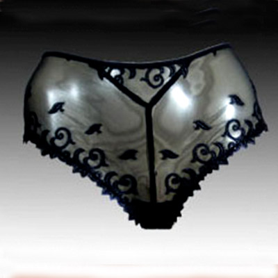 Lise Charmel belle De Nuit Boxer Brief