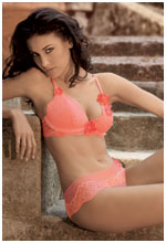 Ravage Reve Rose Padded PLunge Bra & Shorty